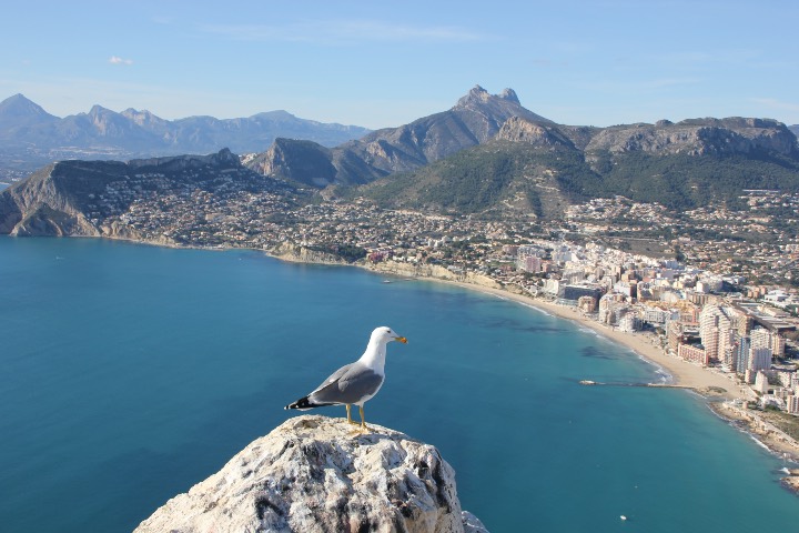 alicante_car